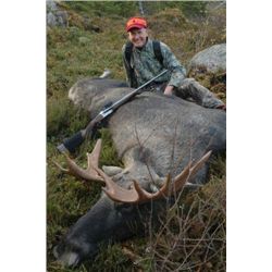 SWEDISH MOOSE HUNT WITH WAYNE VAN ZWOLL By Norma Ammunition