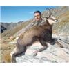 Image 1 : NEW ZEALAND HUNT FOR 2 WITH   TROPHY FEES AND TROPHY CREDIT By Four Seasons Safaris New Zealand