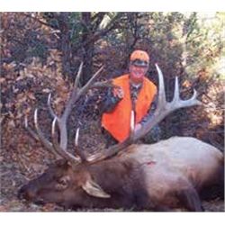 COLORADO TROPHY BULL ELK HUNT FOR 2 By Lone Star Outfitters