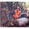 Image 1 : COLORADO TROPHY BULL ELK HUNT FOR 2 By Lone Star Outfitters