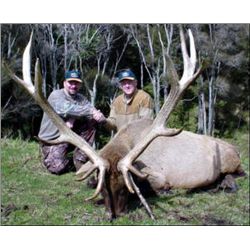 NEW ZEALAND RED STAG HUNT FOR 2 WITH TROPHY FEES By Kaweka Hunting