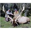 Image 1 : NEW ZEALAND RED STAG HUNT FOR 2 WITH TROPHY FEES By Kaweka Hunting