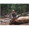 Image 1 : WYOMING WILDERNESS ARCHERY ELK HUNT By Battle Pass Outfitting