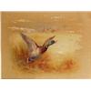 Image 1 : James Stinton. A mallard in flight below a lake edge and reeds, signed lower left, 29cm x 23cm, 1