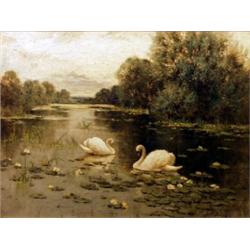 A.E. Bailey. A pair of swans on the lake amongst water lilies, on canvas, signed lower right, 69c