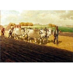 J. Pohaen. Ploughing scene with white oxon, on canvas, signed lower left, 57.5cm x 77.5cm, 22 3/4