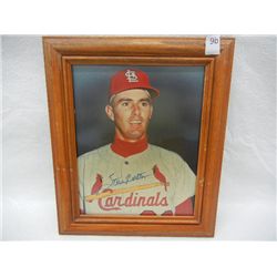 Hand Signed Steve Carlton St. Louis Cardinals Picture