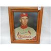 Image 1 : Hand Signed Steve Carlton St. Louis Cardinals Picture