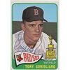 Image 1 : Tony Conigliaro