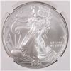 Image 2 : 2004 AMERICAN SILVER EAGLE, NGC MS-69 NICE!