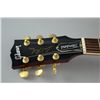 Image 2 : Gibson Les Paul Standard Les Paul electric guiatr made