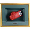 Image 1 : An Everlast Boxing Glove signed by 9 Heavyweight