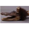 Image 2 : Native American Gator Head Peace Pipe.  (Size: See last