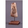Image 1 : Fossilized Walrus Tooth Ivory, signed "Paige", with