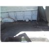 Image 7 : 2007 - CHEVROLET EXPRESS
