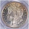 Image 2 : 1884-CC MORGAN DOLLAR PCGS MS-64