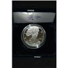 2004 Silver Eagle PROOF in Case