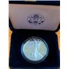 2007 US SILVER EAGLE PROOF in CASE