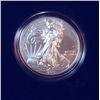 Image 2 : 2011 W- Burnished Silver Eagle in Case