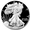Image 2 : 2000 US Silver Eagle PROOF in Case