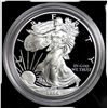 Image 1 : 1996 PROOF Silver Eagle in Case Better Date