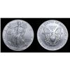 Image 2 : 2007 Burnished Silver Eagle in Case