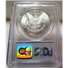Image 2 : 1884 cc PCGS X GSA MS 62 Morgan
