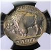 Image 2 : 1914 S MS 64 NGC Buffalo Nickel KEY Date