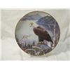 Image 10 : LOT 8 DECORATIVE PLATES EAGLES