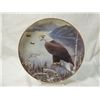 Image 11 : LOT 8 DECORATIVE PLATES EAGLES