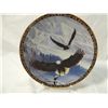 Image 4 : LOT 8 DECORATIVE PLATES EAGLES