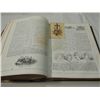 Image 8 : ANTIQUE 1855 DOMESTIC BIBLE ILLISTRATED