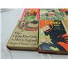 Image 2 : LOT 12 VINTAGE HARDCOVER YOUNG ADULT BOOKS