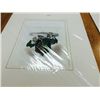 Image 2 : 2 Hand Colored and 1 Black and White Engravings