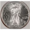 Image 1 : 1996 AMERICAN SILVER EAGLE KEY DATE