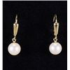 Image 1 : 14KT Yellow Drop Earrings with Fresh Water Pearls