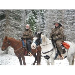 Snoopy- 14 yr old paint gelding