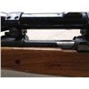 Image 3 : Winchester 308