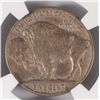 Image 3 : 1919 D BUFFALO NICKEL NGC XF INSIGNIFICANT CLEANING