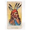 Image 1 : 1888 ALLEN & GINTER NATIVE AMERICAN INDIAN CHIEF TOBACCO CARD