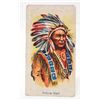 Image 1 : 1888 ALLEN & GINTER NATIVE AMERICAN INDIAN CHIEF TOBACCO CARD