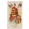 Image 1 : 1888 ALLEN & GINTER NATIVE AMERICAN INDIAN CHIEF TOBACCO CARD