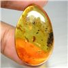 Image 1 : 18.11 CT. HONEY AMBER FROM POLAND