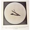 Image 4 : 1895 1ST ED. "SOME FIRST STEPS IN HUMAN PROGRESS" BOOK