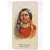 Image 1 : 1888 ALLEN & GINTER NATIVE AMERICAN INDIAN CHIEF TOBACCO CARD