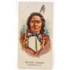 Image 1 : 1888 ALLEN & GINTER NATIVE AMERICAN INDIAN CHIEF TOBACCO CARD