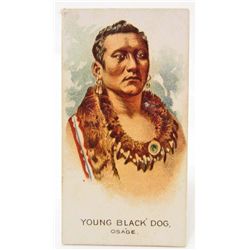 1888 ALLEN & GINTER NATIVE AMERICAN INDIAN CHIEF TOBACCO CARD