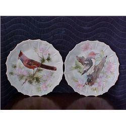 signed Pearl Carson 1985 2 pc hand painted plates