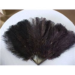 black ostrich feather fan early 1910-1920