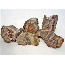 LOT OF 751 CTS MADAGASCAR PETRIFIED WOOD 6 PCS